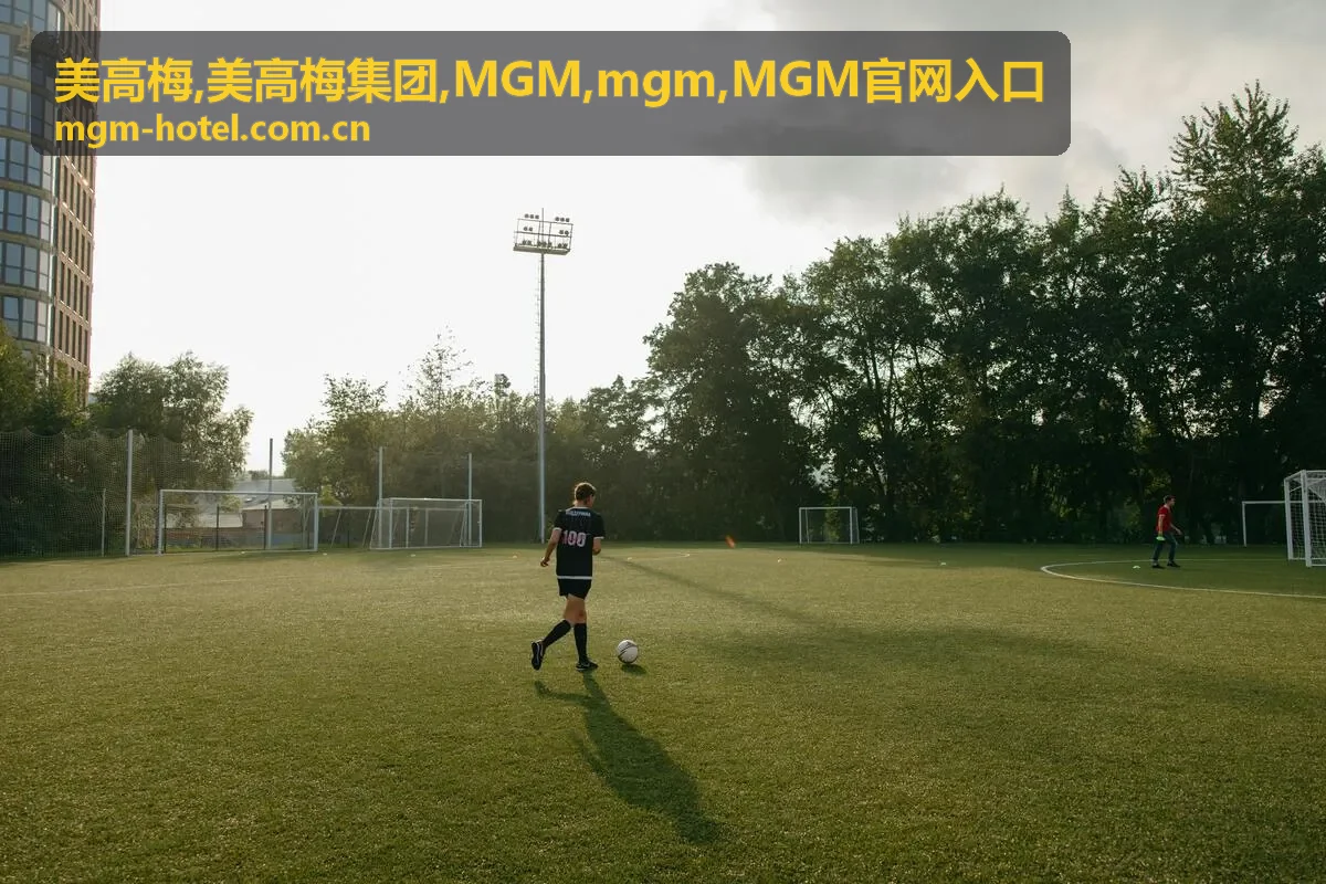 MGM官网入口资讯分类与美高梅访问说明