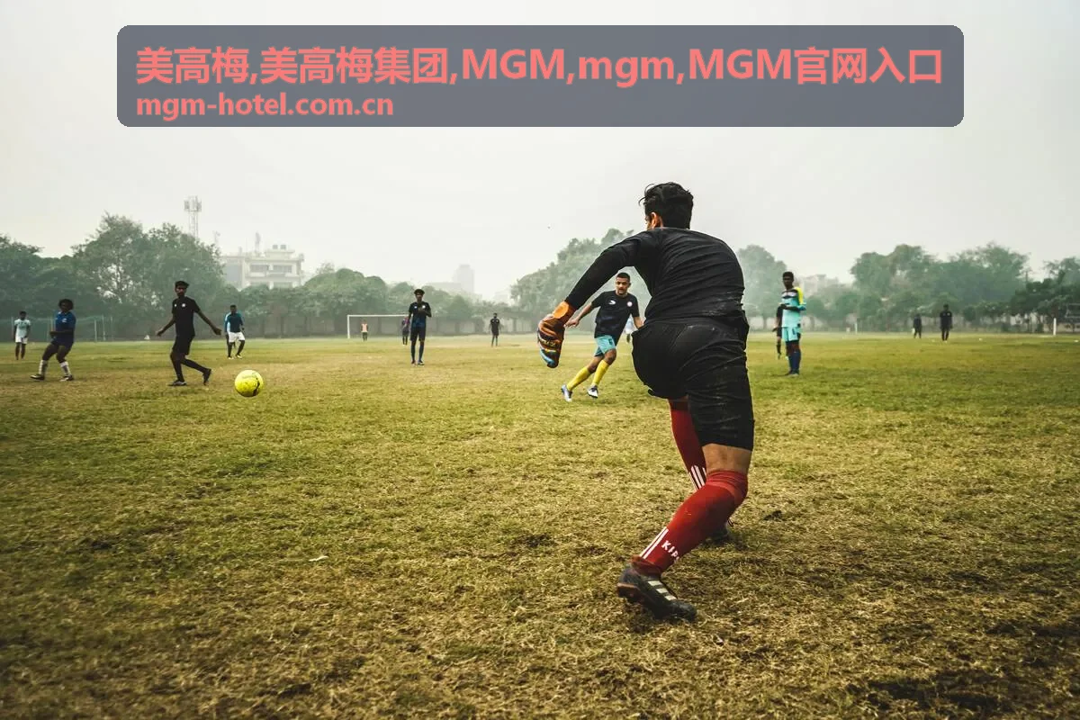 美高梅 MGM 移动端入口核对提示
